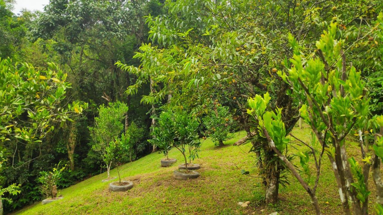 Casa Dona Zeze Villa วิสกอนจิ จิ เมาอา ภายนอก รูปภาพ